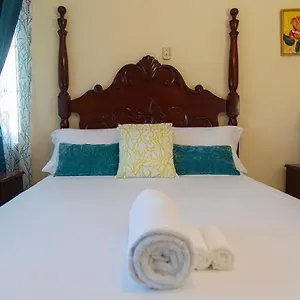Heart-of-the-city With The Amenities Of Kingston